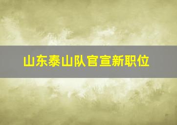 山东泰山队官宣新职位