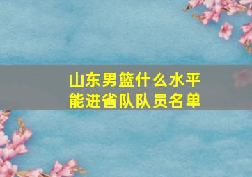 山东男篮什么水平能进省队队员名单