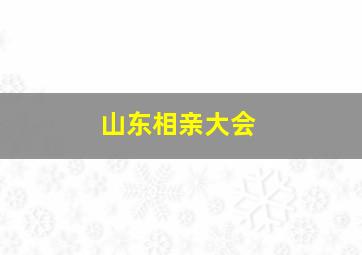 山东相亲大会