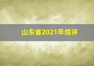 山东省2021年综评