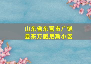 山东省东营市广饶县东方威尼斯小区