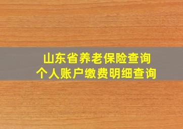 山东省养老保险查询个人账户缴费明细查询