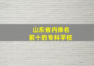 山东省内排名前十的专科学校