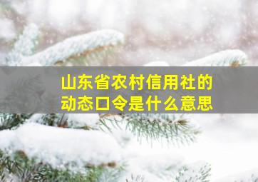 山东省农村信用社的动态口令是什么意思