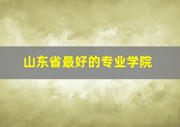 山东省最好的专业学院