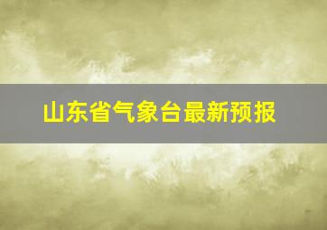 山东省气象台最新预报