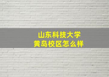 山东科技大学黄岛校区怎么样