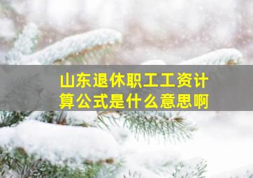 山东退休职工工资计算公式是什么意思啊