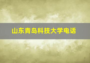 山东青岛科技大学电话