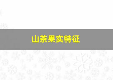 山茶果实特征