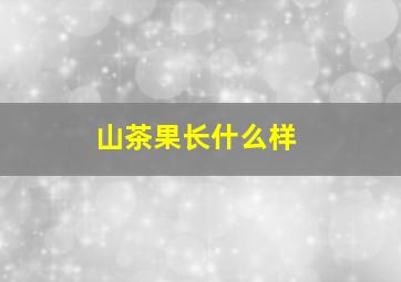 山茶果长什么样