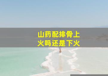 山药配排骨上火吗还是下火