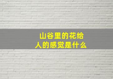 山谷里的花给人的感觉是什么