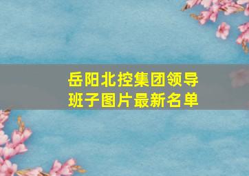 岳阳北控集团领导班子图片最新名单