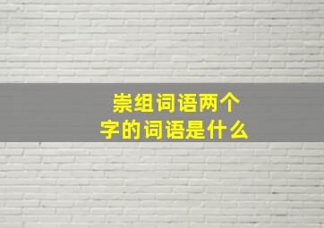 崇组词语两个字的词语是什么