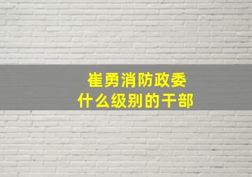 崔勇消防政委什么级别的干部