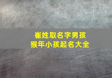 崔姓取名字男孩猴年小孩起名大全