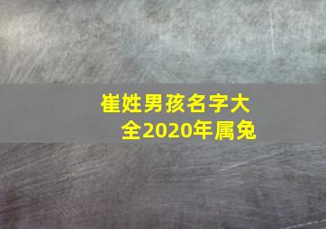 崔姓男孩名字大全2020年属兔