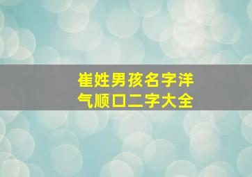 崔姓男孩名字洋气顺口二字大全