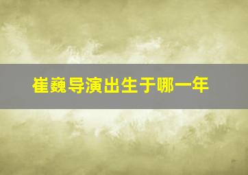 崔巍导演出生于哪一年