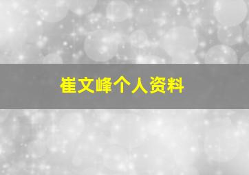 崔文峰个人资料