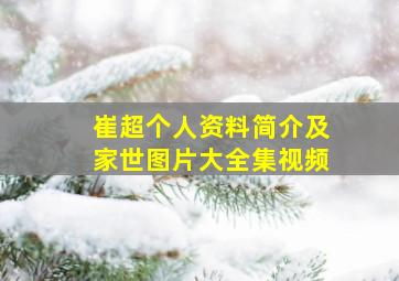 崔超个人资料简介及家世图片大全集视频