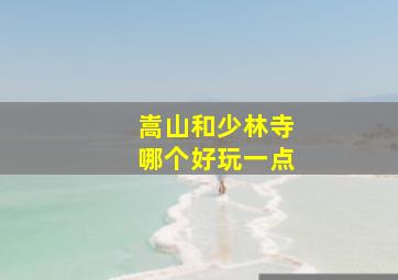 嵩山和少林寺哪个好玩一点