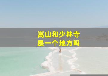 嵩山和少林寺是一个地方吗