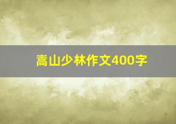 嵩山少林作文400字