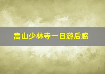 嵩山少林寺一日游后感