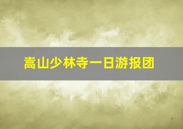 嵩山少林寺一日游报团