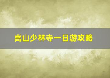 嵩山少林寺一日游攻略