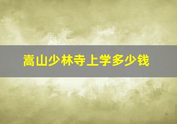 嵩山少林寺上学多少钱