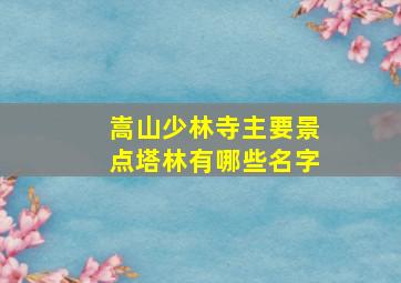 嵩山少林寺主要景点塔林有哪些名字