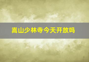 嵩山少林寺今天开放吗