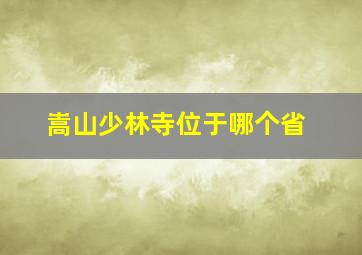 嵩山少林寺位于哪个省