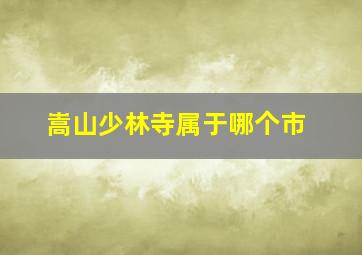 嵩山少林寺属于哪个市