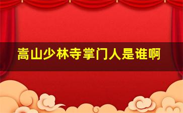 嵩山少林寺掌门人是谁啊