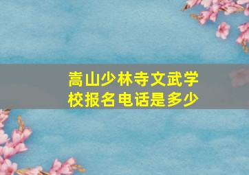 嵩山少林寺文武学校报名电话是多少