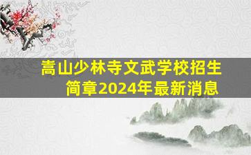 嵩山少林寺文武学校招生简章2024年最新消息