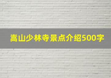 嵩山少林寺景点介绍500字