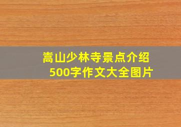 嵩山少林寺景点介绍500字作文大全图片