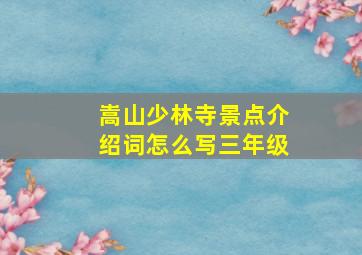 嵩山少林寺景点介绍词怎么写三年级