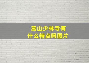 嵩山少林寺有什么特点吗图片