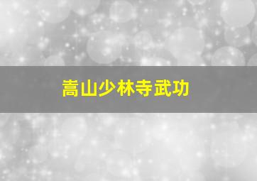 嵩山少林寺武功