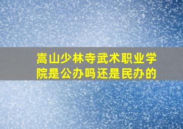 嵩山少林寺武术职业学院是公办吗还是民办的