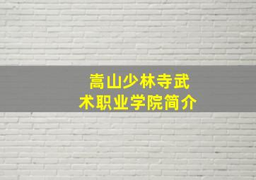 嵩山少林寺武术职业学院简介