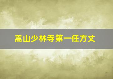 嵩山少林寺第一任方丈