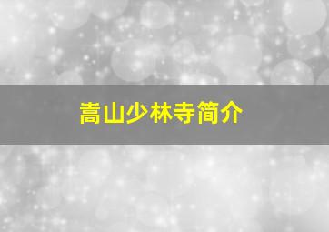 嵩山少林寺简介