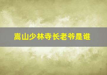 嵩山少林寺长老爷是谁